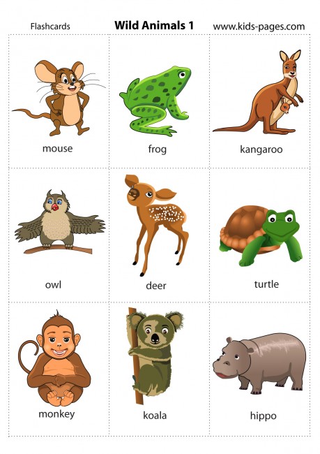 wild-animals-1-flashcard